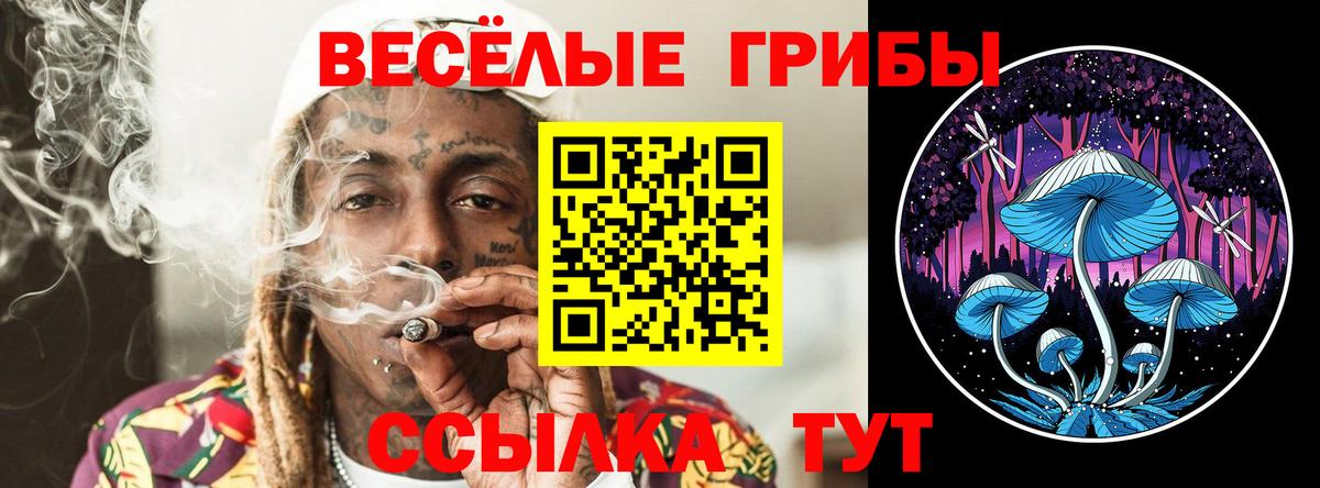 Галлюциногенные грибы мухоморы Кропоткин
